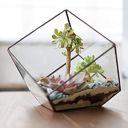 Modern Clear Glass Geometric Terrarium Succulent Plant Display Box, Decorative Votive Candle Holder
