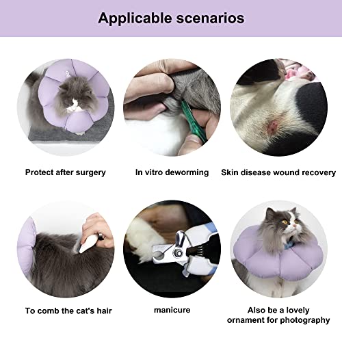 H Hidream Cat Cone Collar,Cute Waterproof Cat Recovery Collar,Anti-Bite Lick Wound Healing Safety Elizabethan E Collar For Cats,Purple Flower All-Season Style… #TOP3
