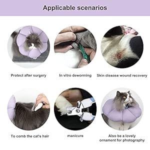 Cat cone collarcute waterproof cat recovery collaranti bite lick wound healing safety elizabethan e collar for catspurple flower all season style   cucciolini doodles