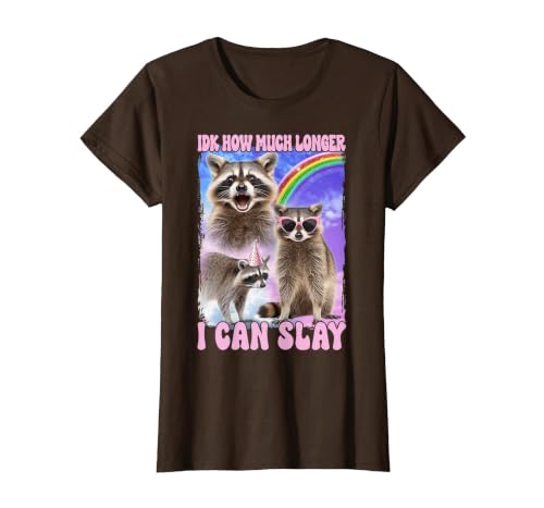 IDK How Much Longer I Can Slay Meme Raccoon Funny T-Shirt, Women, Brown, Small