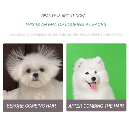 Läusekamm, 4 Stück Flohkamm, Plastik Doppelseitig Nissenkamm, Haustierkamm, Feinzahniger Kopflauskamm, Katzen und Hundepflegekamm, zum Entfernen von Floh und Läusen