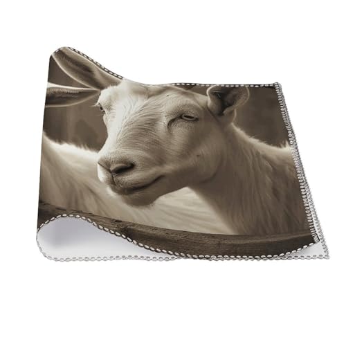 Sets de table lavables lot de 6 pour protéger des assiettes chaudes - 4