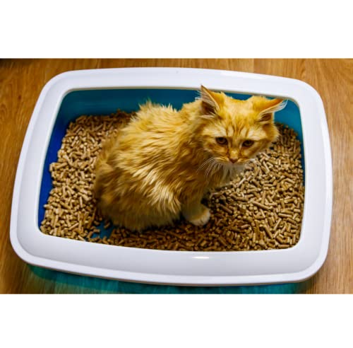 Image of Trixie: - Brisko Cat Litter Tray with Rim | Lightweight and Easy to use | Perfect Starter for Toilet Training Kittens | Keeps The Surrounding Area Clean and Tidy | Assorted Colours - 20 x 15 x 4 inch