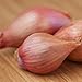 GranAroma Freeze Dried Shallots, 0.9 oz, Savory Flavor, Sauces & Soups, Versatile Ingredient