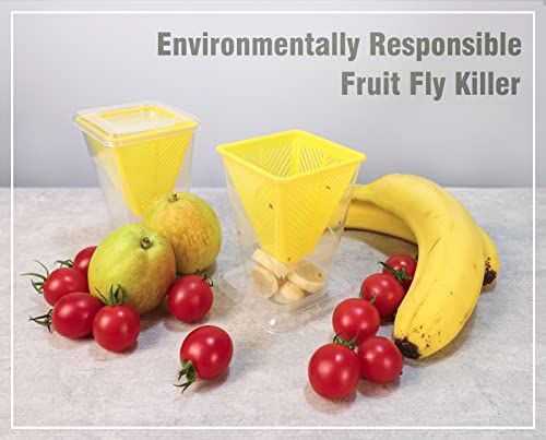 Fruit Fly Trap, 4 Pack - Image 2