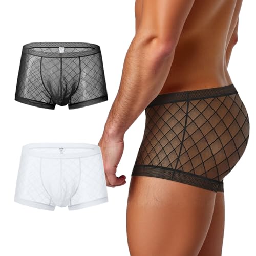 Men's Sexy Mesh Underwear Briefs See Through Sheer Boxer Briefs with Pouch