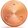 Bird Bath Copper Disk, 0.6mm Reinforced 99.99% Pure Copper Cleaning Disc Plate for Physical Safe Water Purification All-Season for Outdoor Wildlife Bird Bowls Birdbaths Solar