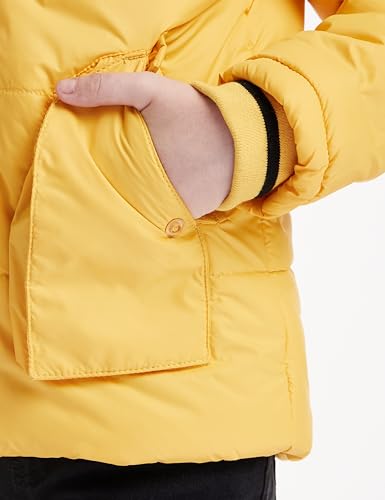 Image of Amazon Brand - Jam & Honey Boys Quilted Winter Jacket With Detachable Hood | Age 2-12 Years