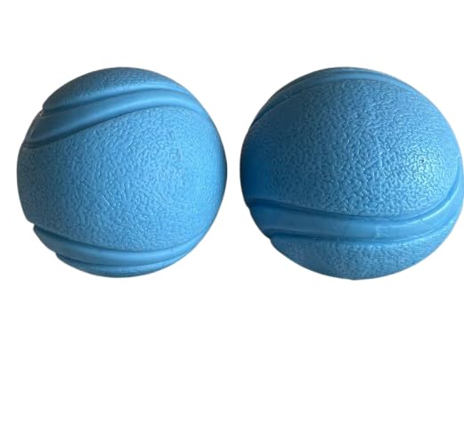 Full Rubber Balls Dog Ball Toys for Medium and Large Dogs Blue