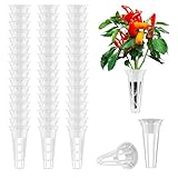 Aooccder 50pcs Grow Baskets Replacement for Aerogarden, Seed Pods Baskets Compatible with Grow Sponges and Domes, Plant Growing Containers for Hydroponic Growing System