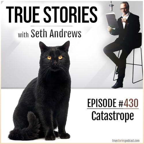 『True Stories #430 - Catastrophe』のカバーアート