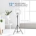 iDance LED Ring Light with Cell Phone Holder, 12