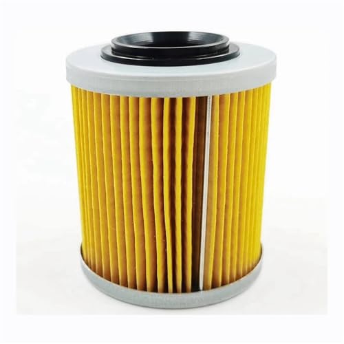 Filtre à huile moto pour CF Moto 0800-011300-0004 conception robuste