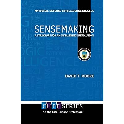 Sensemaking