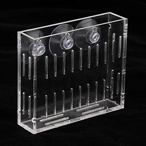 Acrylic Aquatic Plant Cup Grass Holder Aquarium Fish Tank Plants Pot #TOP3