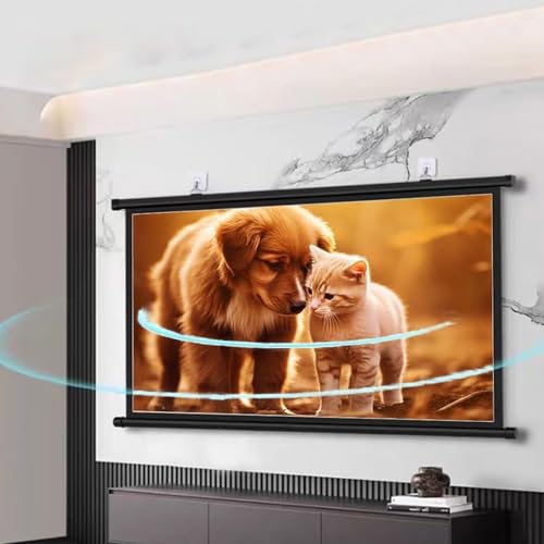 Pantalla portátil manual 16:9 para proyector HD miniatura 5