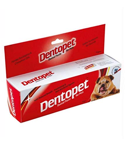ALL4PETS DENTOPET Tooth Paste with Parsley EUCALYTUS & Cinnamon Oils (B07SZ98H1Y) Amazon Price History, Amazon Price Tracker