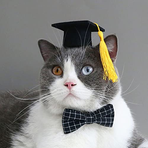 Gorro de graduación para perros pequeño ABOOFAN miniatura 2