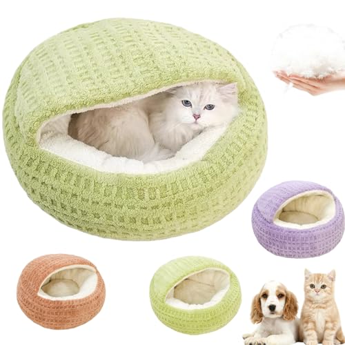 Lxbh nEX ^ ~p ybgnEX ۉ h tt PP   p ybgNbV ~ h 킢 qL L ^p LQ ΍ bNX K ӂӂ (O[,L)