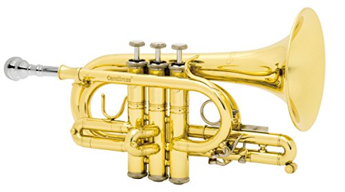 Carol Brass N4000 CL, trompeta de bolsillo, tubo C, campana de latón amarillo, acabado lacado, bolsa...