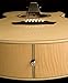 Washburn Festival EA20 Acoustic Electric Guitar (EA20-A)