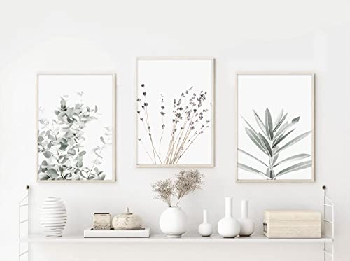 Botanical Wall Art Set Of 3 Lavender Eucalyptus Wall Art Decor Botanical Prints Green Leaf Plant Wall Art Picture Minimalist Canvas Wall Art For Living Room Farmhouse Bedroom 16X24 Inch Unframed #TOP5