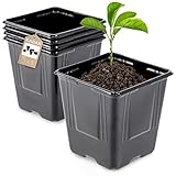 Gracias a las aberturas de DRAINAS, el tocino conduce el flujo de agua y regula su aceptación. El piso tallado universal con aberturas se demuestra tanto en un piso blando como en un duro. Por lo tanto, puede elegir cualquier variedad de tierra, dependiendo de las necesidades de la planta. Las macetas para plántulas proporcionan una temperatura y ventilación óptimas, lo que contribuye al crecimiento de las raíces y conduce al crecimiento saludable de las plántulas.