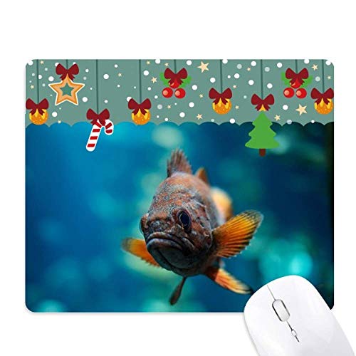 Tapis de souris poisson tropical marin en caoutchouc pour égayer votre bureau à la maison