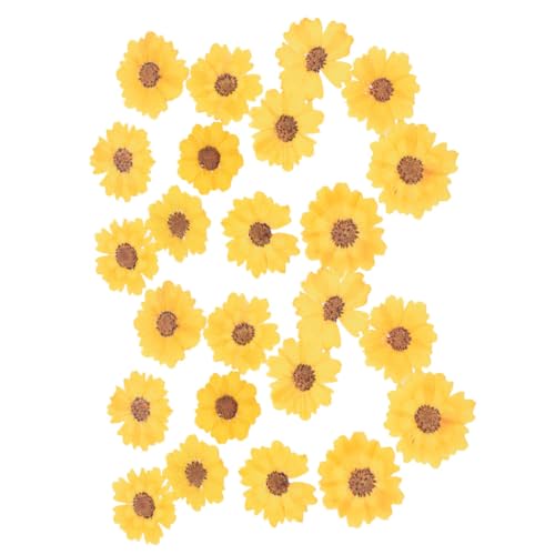 m[uhi 24 ֖ڋe yʂŐFN₩ NtgphCt[ gуP[XubN}[N RȕŒ