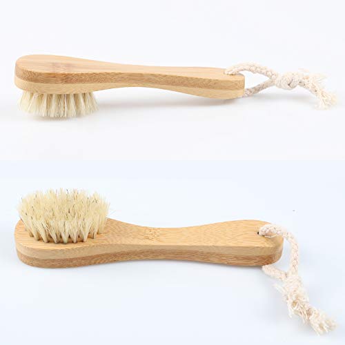 Dry Brushing Body Brush - Stiff Natural Boar Bristle Face/Back/Foot Cactus Skin Brush Scrubber for Exfoliation, Cellulite, Circulation, Drain Lymph Massage in Bath Shower - Long Detachable Handle - Thumbnail 7