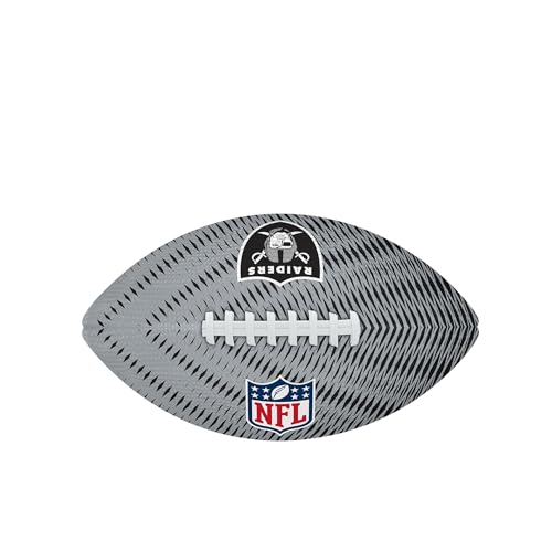 Image of WILSON Unisex NFL Team Tailgate Footballs
