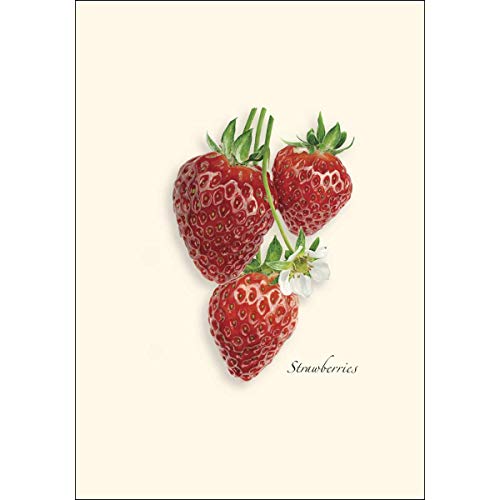 Image of Earth Sky + Water - Strawberry Assortment Notecard Set - 8 Blank Cards with Envelopes (4 each of 2 styles)