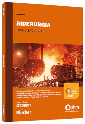 Siderurgia: Uma visão geral