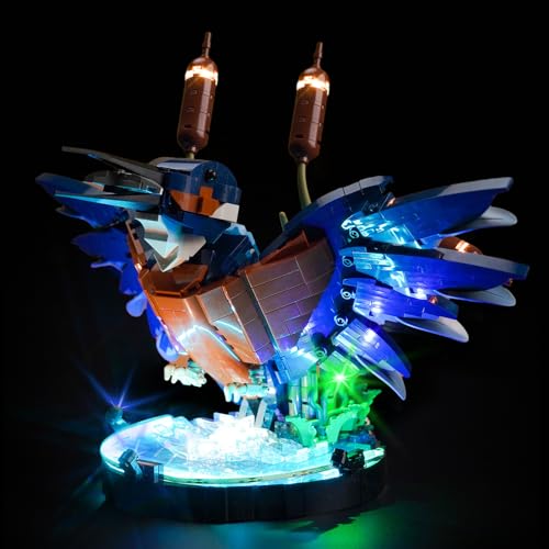 LocoLee Licht Kompatibel mit Lego Eisvogel Nur Lichter Set - Kein Modell Licht BeleuchtungSet Compatible with LEGO 10331 Kingfisher Bird