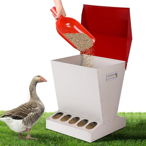 Comedero automático para pollos, comedero de aves de corral de 10 agujeros para exteriores con tapa de acero inoxidable para una cómoda alimentación bajo demanda, ideal para criar bantamos, faisanes