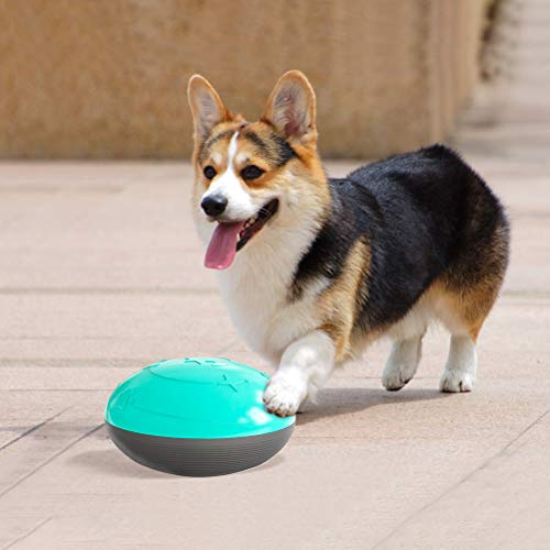 Brinquedo para mastigar cachorro - Suporte de alimentador para cães Ferramenta útil de alimentação R