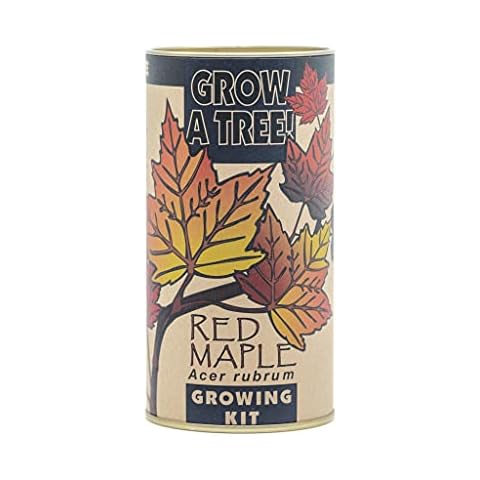 Red Maple | Tree Seed Grow Kit | The Jonsteen Company Cover