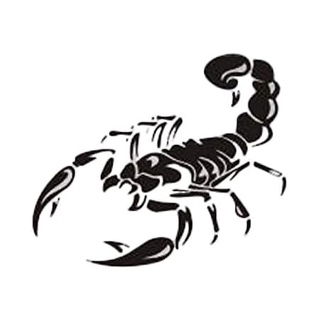 Amazon サソリモチーフのカーステッカー カーグッズ カー用品 20cm ノーブランド品 ステッカー デカール 車 バイク Amazon サソリモチーフのカーステッカー カーグッズ カー用品 20cm ノーブランド品 ステッカー デカール 車 バイク