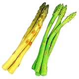 8 piezas de simulación de espárragos, modelo de cochecito, sartén, foto, accesorios de vegetales falsos, cúpula, propagador, paraguas, base, soporte, cultivador, movimiento, modelo de vegetales artifi