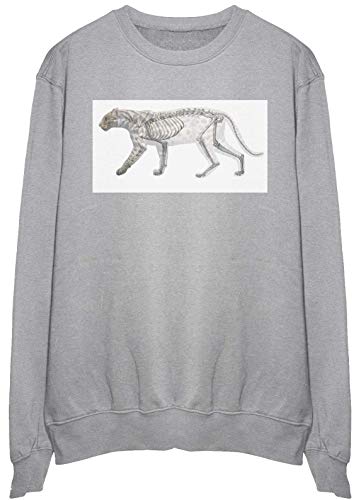 Sweatshirt léopard squelette pull biologie vêtement xxl