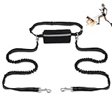 Gürtel-Leine, Laufleine, kabellose Leine, Trainingsgürtel-Leine, elastische Anti-Zug-Leine mit Reflektor, für Laufen, Spazierengehen und Outdoor (Schwarz)