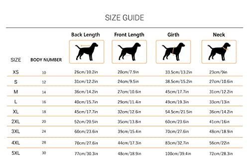 Image of Heads Up For Tails Pride Dog T-Shirt - XS