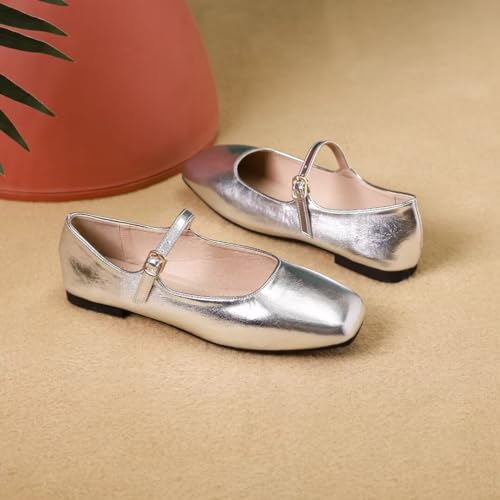 Stunner Women's Mary Jane Flats Fashion Square Toe Soft Ballet Flats Comfort Leather Office Driving Flats Silver 41(9) 24