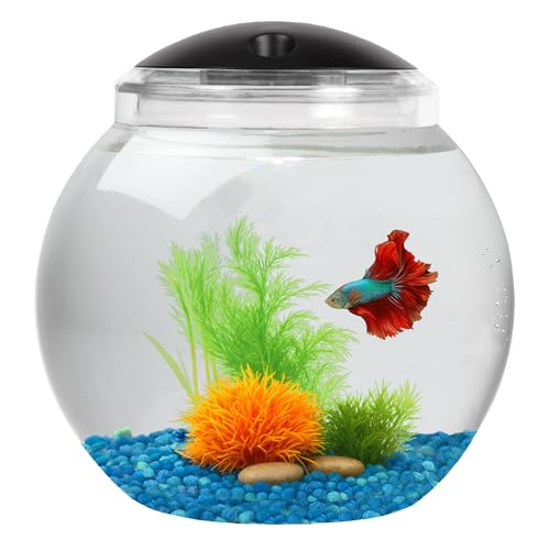 Koller Products 2-Gallon Fish Bowl, Impact- Resistant Plastic Betta Fish Tank with LED Lighting (7 Color Selections), Buit-in Timer, Crystal-Clear Clarity, Desktop Aquarium Tank for Home Décor