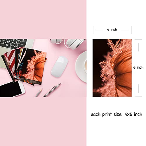 Wall Collage Kit Aesthetic Pictures,Photo Collage Kit for Wall Aesthetic,Wall Collage Kit,Posters for Room Aesthetic,Indie Room Decor,Aesthetic Posters,Aesthetic Room Decor for Teen Girls 50pcs