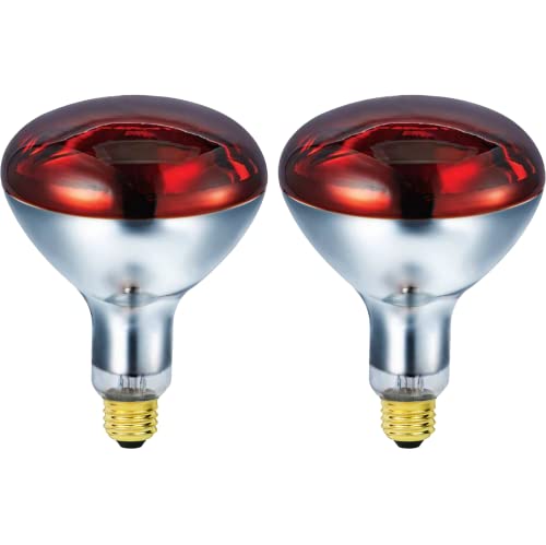 Bulbmaster HEAT LAMP S Outdoor Bulbs For Pets Flood Light Bulb thumb #1