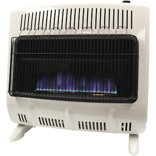 30,000 BTU Vent Free Blue Flame Dual Fuel Heater