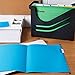 Esselte Pendaflex A4 V Bottom Suspension Files with 4 Tab Divider Book - Blue (Box of 10) A4
