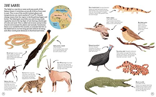 The World of Animals: An Illustrated Guide to the Wonders of the Wild