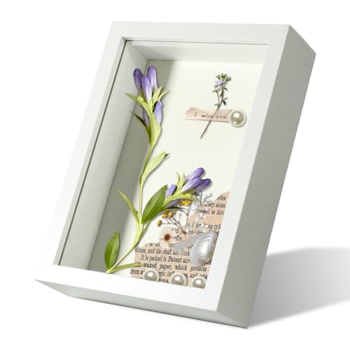 5x7 White Shadow Box Frame Display Case